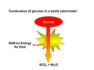 6CO 2  + 6H 2 O 2840 kJ Energy As Heat Combustion of glucose in a bomb calorimeter Glucose 