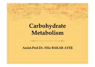 Carbohydrate
Metabolism
Assist.Prof.Dr. Filiz BAKAR ATEŞ
 