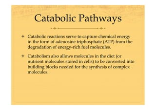 Carbohydrate metabolism-1 (1).pdf