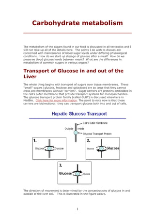 Carbohydrate metabolism


The metabolism of the sugars found in our food is discussed in all textbooks and I
will not take up all of the details here. The points I do wish to discuss are
concerned with maintenance of blood sugar levels under differing physiological
conditions. How do we start up storage of glucose after a meal? How do we
preserve blood glucose levels between meals? What are the differences in
metabolism of common sugars in various organs?


Transport of Glucose in and out of the
Liver
The whole thing begins with transport of sugars over tissue membranes. These
"small" sugars (glucose, fructose and galactose) are so large that they cannot
cross cell membranes without "carriers". Sugar carriers are proteins embedded in
the cell's outer membrane that provide transport systems for monosaccharides.
The glucose transport protein family (called GLUT) is discussed elsewhere in
MedBio. Click here for more information. The point to note now is that these
carriers are bidirectional; they can transport glucose both into and out of cells.




The direction of movement is determined by the concentrations of glucose in and
outside of the liver cell. This is illustrated in the figure above.




                                        1
 