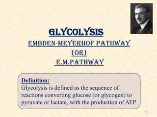Glycolysis
Embden-Meyerhof pathway
(or)
E.M.Pathway
Definition:
Glycolysis is defined as the sequence of
reactions convert...