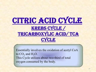CITRIC ACID CYCLE
KREBS CYCLE /
TRICARBOXYLIC ACID/ TCA
CYCLE
Essentially involves the oxidation of acetyl CoA
to CO2 and ...