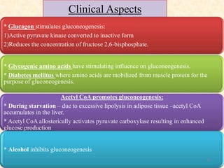 Clinical Aspects
* Glucagon stimulates gluconeogenesis:
1)Active pyruvate kinase converted to inactive form
2)Reduces the ...