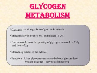 GLYCOGEN
METABOLISM
Glycogen is a storage form of glucose in animals.
Stored mostly in liver (6-8%) and muscle (1-2%)
D...