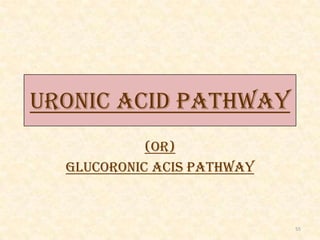 URONIC ACID PATHWAY
(Or)
Glucoronic acis pathway

55

 