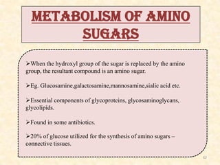 METABOLISM OF AMINO
SUGARS
When the hydroxyl group of the sugar is replaced by the amino
group, the resultant compound is...