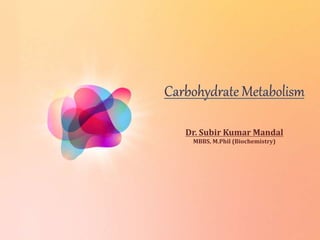 Dr. Subir Kumar Mandal
MBBS, M.Phil (Biochemistry)
 