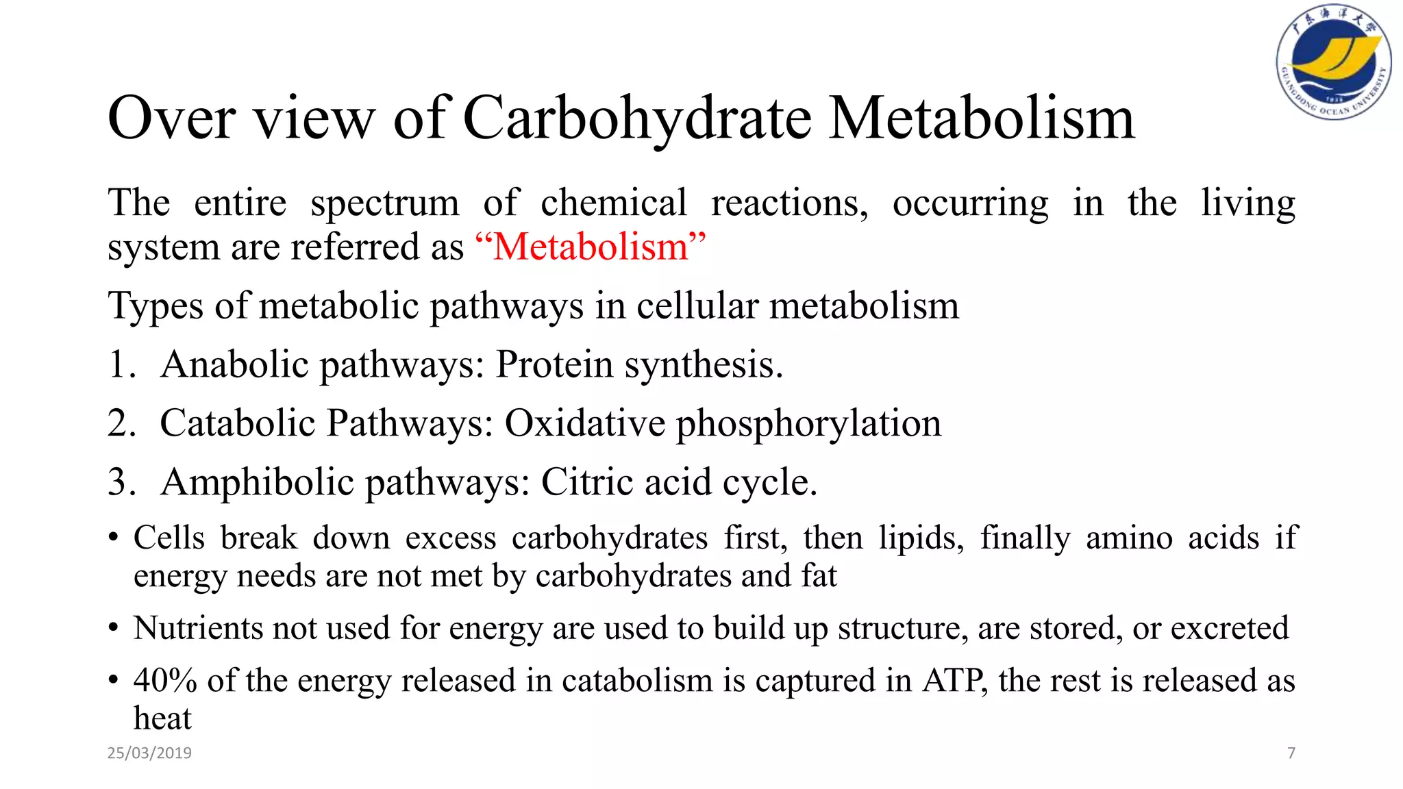 Carbohydrates Are More Easily Metabolized Than Lipids
