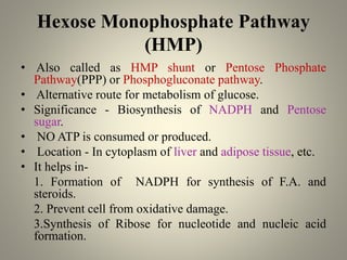 Hexose Monophosphate Pathway
(HMP)
• Also called as HMP shunt or Pentose Phosphate
Pathway(PPP) or Phosphogluconate pathway.
• Alternative route for metabolism of glucose.
• Significance - Biosynthesis of NADPH and Pentose
sugar.
• NO ATP is consumed or produced.
• Location - In cytoplasm of liver and adipose tissue, etc.
• It helps in-
1. Formation of NADPH for synthesis of F.A. and
steroids.
2. Prevent cell from oxidative damage.
3.Synthesis of Ribose for nucleotide and nucleic acid
formation.
 