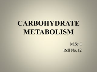 CARBOHYDRATE
METABOLISM
M.Sc. I
Roll No. 12
 