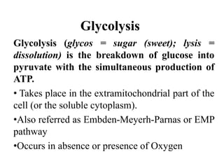 Glycolysis
Glycolysis (glycos = sugar (sweet); lysis =
dissolution) is the breakdown of glucose into
pyruvate with the simultaneous production of
ATP.
• Takes place in the extramitochondrial part of the
cell (or the soluble cytoplasm).
•Also referred as Embden-Meyerh-Parnas or EMP
pathway
•Occurs in absence or presence of Oxygen
 