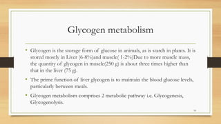 Glycogen metabolism
• Glycogen is the storage form of glucose in animals, as is starch in plants. It is
stored mostly in Liver (6-8%)and muscle( 1-2%)Due to more muscle mass,
the quantity of glycogen in muscle(250 g) is about three times higher than
that in the liver (75 g).
• The prime function of liver glycogen is to maintain the blood glucose levels,
particularly between meals.
• Glycogen metabolism comprises 2 metabolic pathway i.e. Glycogenesis,
Glycogenolysis.
18
 