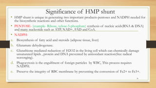 Significance of HMP shunt
• HMP shunt is unique in generating two important products-pentoses and NADPH needed for
the biosynthetic reactions and other functions.
• PENTOSE- (example- Ribose, xylose-5-phosphate) synthesis of nucleic acids(RNA & DNA)
and many nucleotide such as ATP, NAD+, FAD and CoA.
• NADPH-
a. Biosynthesis of fatty acid and steroids (adipose tissue, liver)
b. Glutamate dehydrogenase.
c. Glutathione mediated reduction of H2O2 in the living cell which can chemically damage
unsaturated lipids , protein and DNA prevented by antioxidant reaction(free radical
scavenging).
d. Phagocytosis is the engulfment of foreign particles by WBC, This process requires
NADPH.
e. Preserve the integrity of RBC membrane by preventing the conversion of Fe2+ to Fe3+.
26
 