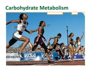 1
Carbohydrate Metabolism
6 CO2 + 6 H2O + light energy → C6H12O6 + 6 O2
 