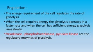 Regulation :
•The energy requirement of the cell regulates the rate of
glycolysis.
•When the cell requires energy the glycolysis operates in a
faster rate and when the cell has sufficient energy glycolysis
runs slowly.
•Hexokinase , phosphofructokinase, pyruvate kinase are the
regulatory enzymes of glycolysis.
 
