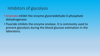 Inhibitors of glycolysis
• Arsenate inhibit the enzyme glyceraldehyde-3-phosphate
dehydrogenase
• Fluoride inhibits the enzyme enolase. It is commonly used to
prevent glycolysis during the blood glucose estimation in the
laboratory.
 