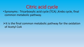 Citric acid cycle
•Synonyms : Tricarboxylic acid cycle (TCA) ,Krebs cycle, final
common metabolic pathway.
It is the final common metabolic pathway for the oxidation
of Acetyl CoA
 