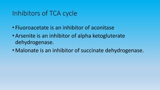 Inhibitors of TCA cycle
• Fluoroacetate is an inhibitor of aconitase
• Arsenite is an inhibitor of alpha ketogluterate
dehydrogenase.
• Malonate is an inhibitor of succinate dehydrogenase.
 
