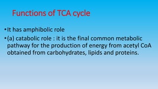 Functions of TCA cycle
•It has amphibolic role
•(a) catabolic role : it is the final common metabolic
pathway for the production of energy from acetyl CoA
obtained from carbohydrates, lipids and proteins.
 