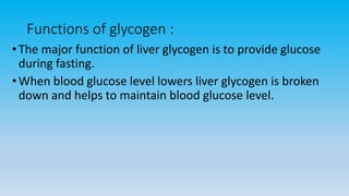 Functions of glycogen :
•The major function of liver glycogen is to provide glucose
during fasting.
•When blood glucose level lowers liver glycogen is broken
down and helps to maintain blood glucose level.
 
