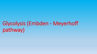 Glycolysis (Embden - Meyerhoff
pathway)
 