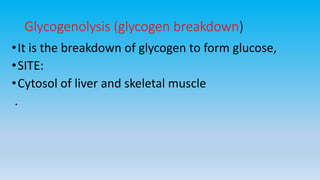 Glycogenolysis (glycogen breakdown)
•It is the breakdown of glycogen to form glucose,
•SITE:
•Cytosol of liver and skeletal muscle
.
 