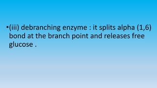 •(iii) debranching enzyme : it splits alpha (1,6)
bond at the branch point and releases free
glucose .
 