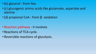 •(b) glycerol : from fats
•(c) glucogenic amino acids like glutamate, aspartate and
alanine
•(d) propionyl CoA : from β- oxidation
•Reaction pathway : it involves
•Reactions of TCA cycle.
•Reversible reactions of glycolysis.
 
