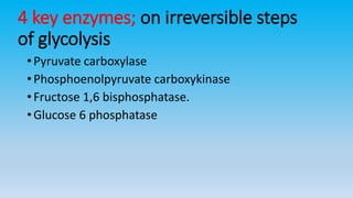 4 key enzymes; on irreversible steps
of glycolysis
• Pyruvate carboxylase
• Phosphoenolpyruvate carboxykinase
• Fructose 1,6 bisphosphatase.
• Glucose 6 phosphatase
 