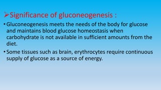 Significance of gluconeogenesis :
•Gluconeogenesis meets the needs of the body for glucose
and maintains blood glucose homeostasis when
carbohydrate is not available in sufficient amounts from the
diet.
•Some tissues such as brain, erythrocytes require continuous
supply of glucose as a source of energy.
 