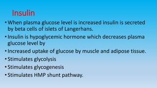 Insulin
•When plasma glucose level is increased insulin is secreted
by beta cells of islets of Langerhans.
•Insulin is hypoglycemic hormone which decreases plasma
glucose level by
•Increased uptake of glucose by muscle and adipose tissue.
•Stimulates glycolysis
•Stimulates glycogenesis
•Stimulates HMP shunt pathway.
 