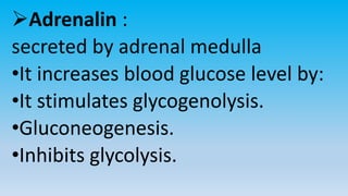Adrenalin :
secreted by adrenal medulla
•It increases blood glucose level by:
•It stimulates glycogenolysis.
•Gluconeogenesis.
•Inhibits glycolysis.
 