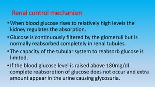Renal control mechanism
•When blood glucose rises to relatively high levels the
kidney regulates the absorption.
•Glucose is continuously filtered by the glomeruli but is
normally reabsorbed completely in renal tubules.
•The capacity of the tubular system to reabsorb glucose is
limited.
•If the blood glucose level is raised above 180mg/dl
complete reabsorption of glucose does not occur and extra
amount appear in the urine causing glycosuria.
 