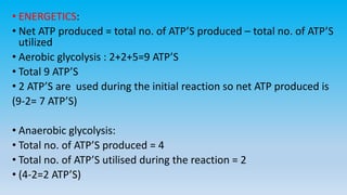• ENERGETICS:
• Net ATP produced = total no. of ATP’S produced – total no. of ATP’S
utilized
• Aerobic glycolysis : 2+2+5=9 ATP’S
• Total 9 ATP’S
• 2 ATP’S are used during the initial reaction so net ATP produced is
(9-2= 7 ATP’S)
• Anaerobic glycolysis:
• Total no. of ATP’S produced = 4
• Total no. of ATP’S utilised during the reaction = 2
• (4-2=2 ATP’S)
 