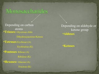 Depending on carbon
atoms
Depending on aldehyde or
ketone group
•Trioses: Glycerose-Aldo
Dihydroxyacetone-Ketone
•Tetroses Erythrose (A)
Erythrulose (K)
•Pentoses: Ribose (A)
Ribulose (K)
•Hexoses: Glucose (A)
Fructose (K)
•Aldoses
•Ketoses
 