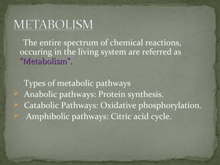 The entire spectrum of chemical reactions,
occuring in the living system are referred as
“Metabolism”.“Metabolism”.
Types of metabolic pathways
 Anabolic pathways: Protein synthesis.
 Catabolic Pathways: Oxidative phosphorylation.
 Amphibolic pathways: Citric acid cycle.
 