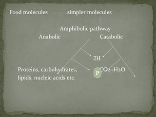 Food molecules simpler molecules
Amphibolic pathway
Anabolic Catabolic
Proteins, carbohydrates, CO2+H2O
lipids, nucleic acids etc.
2H
P
 