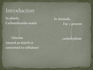 In plants,
Carbondioxide+water
Glucose
(stored as starch or
converted to cellulose)
In Animals,
Fat + protein
carbohydrate
 
