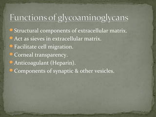 Structural components of extracellular matrix.
Act as sieves in extracellular matrix.
Facilitate cell migration.
Corneal transparency.
Anticoagulant (Heparin).
Components of synaptic & other vesicles.
 