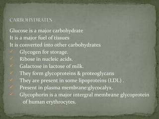 Glucose is a major carbohydrate
It is a major fuel of tissues
It is converted into other carbohydrates
 Glycogen for storage.
 Ribose in nucleic acids.
 Galactose in lactose of milk.
 They form glycoproteins & proteoglycans
 They are present in some lipoproteins (LDL) .
 Present in plasma membrane:glycocalyx.
 Glycophorin is a major intergral membrane glycoprotein
of human erythrocytes.
 