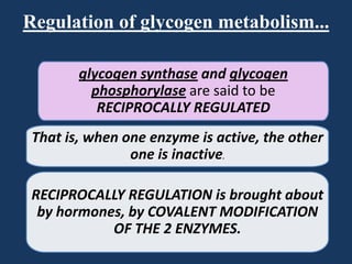 Regulation of glycogen metabolism...
glycogen synthase and glycogen
phosphorylase are said to be
RECIPROCALLY REGULATED
That is, when one enzyme is active, the other
one is inactive.
RECIPROCALLY REGULATION is brought about
by hormones, by COVALENT MODIFICATION
OF THE 2 ENZYMES.

 
