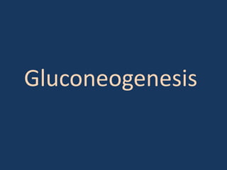 Gluconeogenesis

 