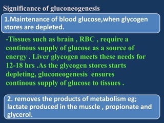 Significance of gluconeogenesis
1.Maintenance of blood glucose,when glycogen
stores are depleted.
-Tissues such as brain , RBC , require a
continous supply of glucose as a source of
energy . Liver glycogen meets these needs for
12-18 hrs .As the glycogen stores starts
depleting, gluconeogenesis ensures
continous supply of glucose to tissues .
2. removes the products of metabolism eg;
lactate produced in the muscle , propionate and
glycerol.

 