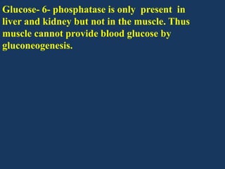 Glucose- 6- phosphatase is only present in
liver and kidney but not in the muscle. Thus
muscle cannot provide blood glucose by
gluconeogenesis.

 