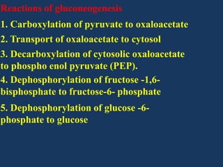 Reactions of gluconeogenesis
1. Carboxylation of pyruvate to oxaloacetate
2. Transport of oxaloacetate to cytosol
3. Decarboxylation of cytosolic oxaloacetate
to phospho enol pyruvate (PEP).
4. Dephosphorylation of fructose -1,6bisphosphate to fructose-6- phosphate
5. Dephosphorylation of glucose -6phosphate to glucose

 