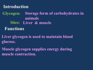 Introduction
Storage form of carbohydrates in
animals
Sites: Liver & muscle

Glycogen:

Functions
Liver glycogen is used to maintain blood
glucose.
Muscle glycogen supplies energy during
muscle contraction.

 