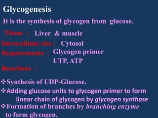 Glycogenesis
It is the synthesis of glycogen from glucose.
Tissue : Liver & muscle
Intracellular site : Cytosol
Requirements : Glycogen primer
UTP, ATP
Reactions :

Synthesis of UDP-Glucose.
Adding glucose units to glycogen primer to form
linear chain of glycogen by glycogen synthase
Formation of branches by branching enzyme
to form glycogen.

 