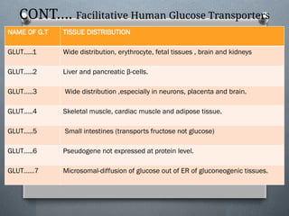 CARBOHYDRATE METABOLISM AND DIABETES CHEMICAL PATHOLOGY[1].pptx