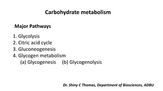 1. Glycolysis
2. Citric acid cycle
3. Gluconeogenesis
4. Glycogen metabolism
(a) Glycogenesis (b) Glycogenolysis
Carbohydrate metabolism
Major Pathways
Dr. Shiny C Thomas, Department of Biosciences, ADBU
 