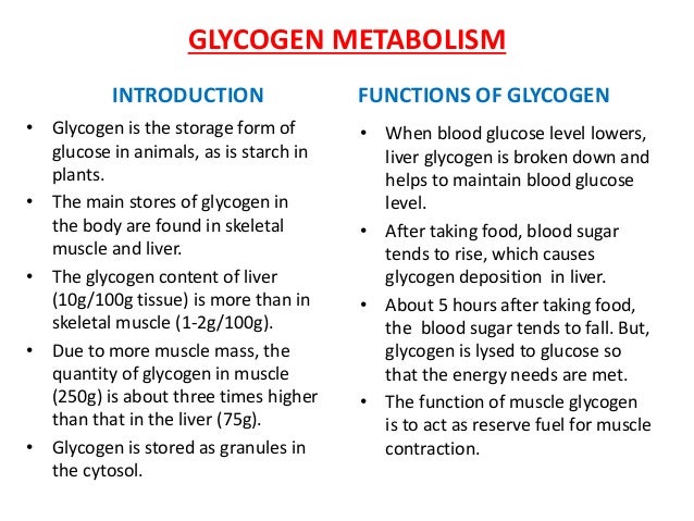 carbohydrate metabolism b pharm main storage form of glucose